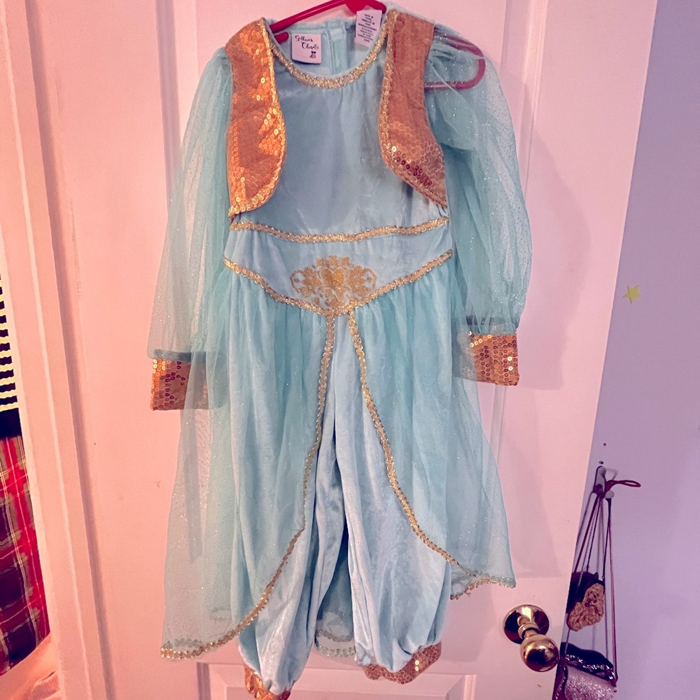 Cute Jasmine costume, comes with gold shoe covers.
